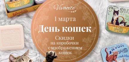 День кошек. vivacite.ru